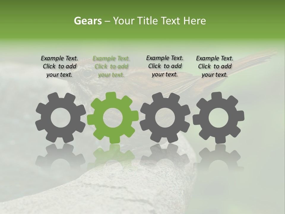 Song Sparrow Wild Western PowerPoint Template