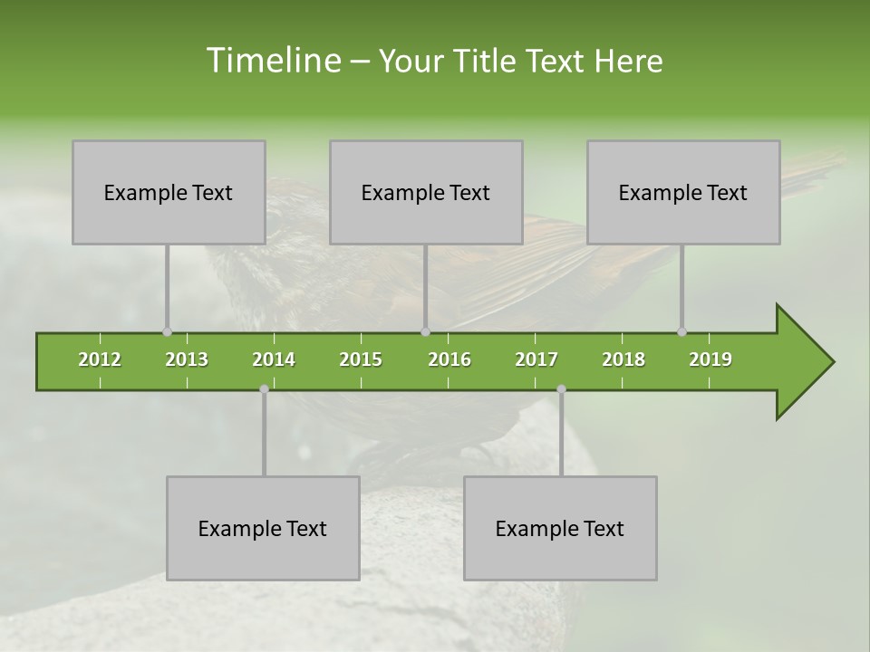 Song Sparrow Wild Western PowerPoint Template