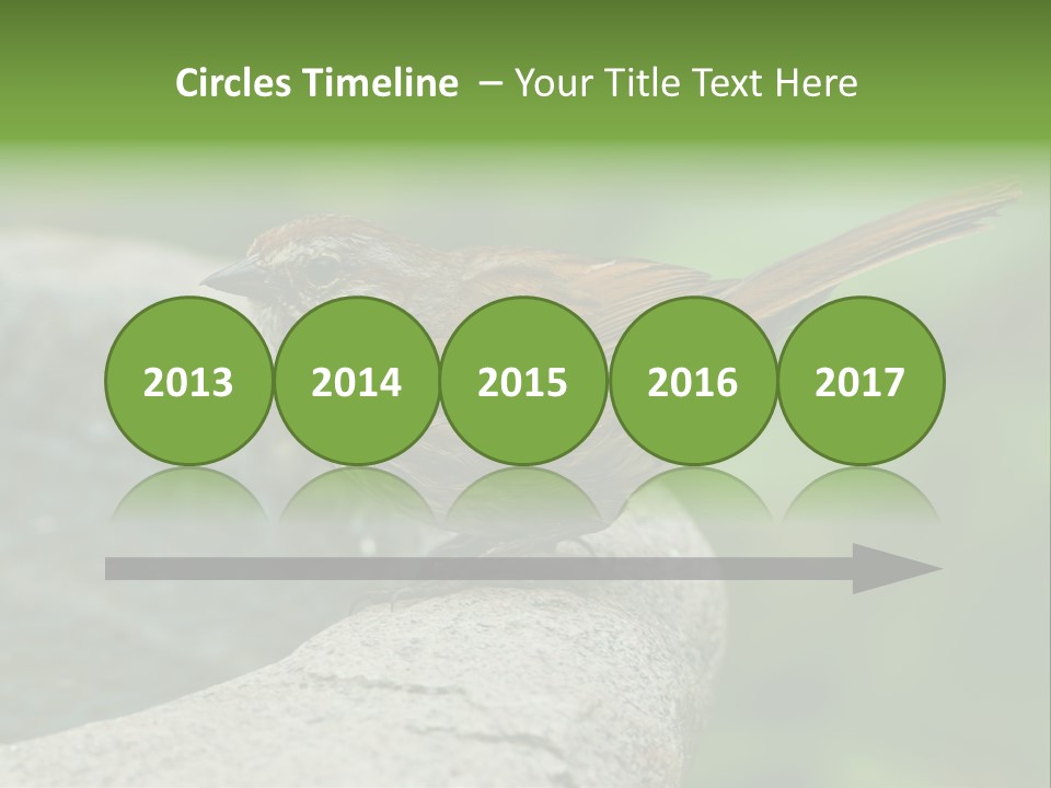 Song Sparrow Wild Western PowerPoint Template