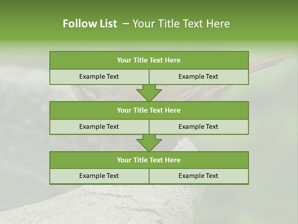 Song Sparrow Wild Western PowerPoint Template