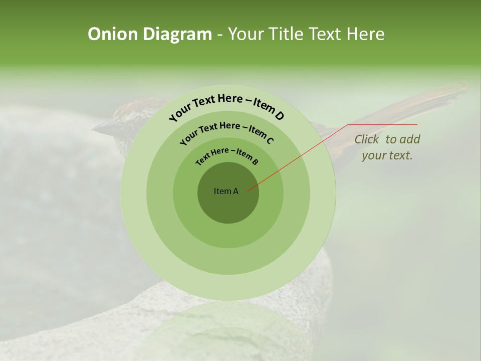 Song Sparrow Wild Western PowerPoint Template