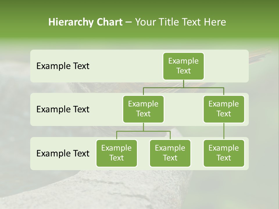 Song Sparrow Wild Western PowerPoint Template