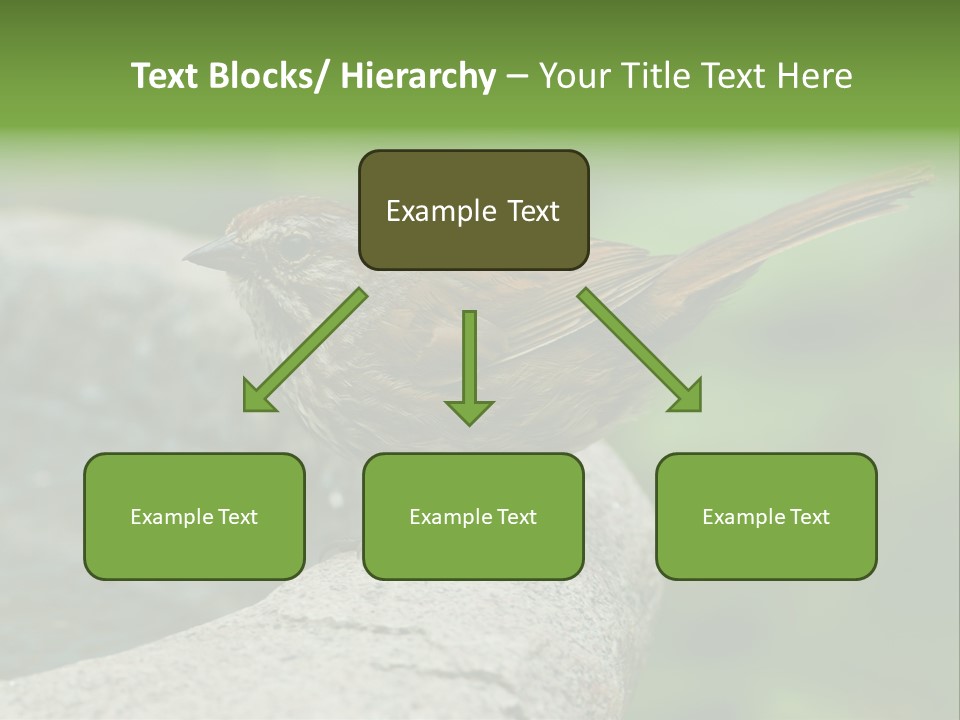 Song Sparrow Wild Western PowerPoint Template