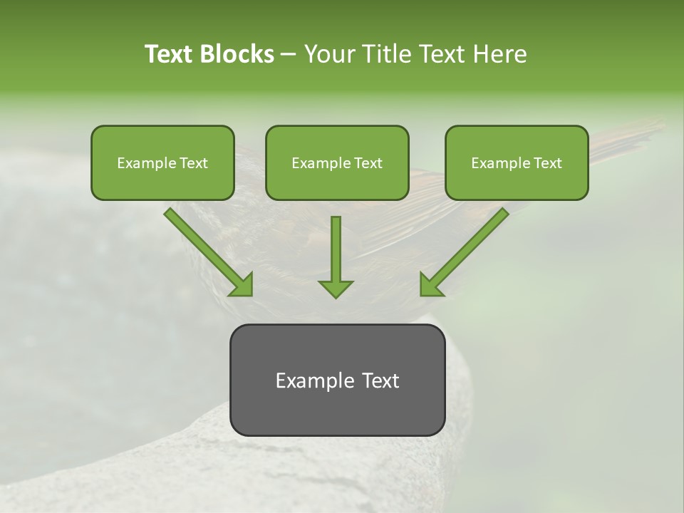 Song Sparrow Wild Western PowerPoint Template