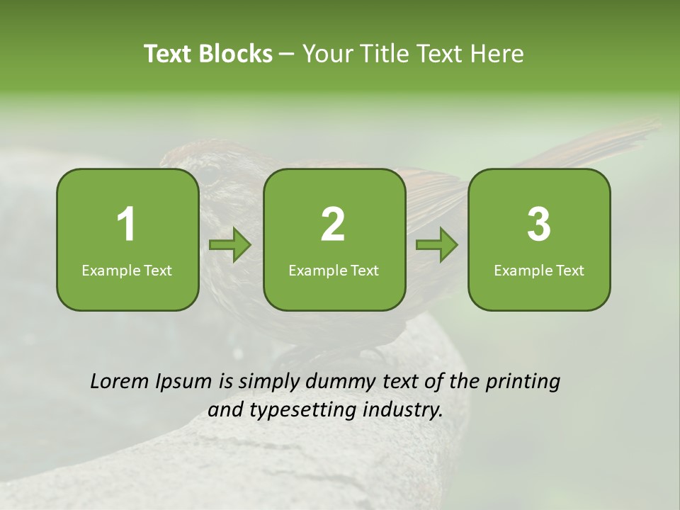 Song Sparrow Wild Western PowerPoint Template