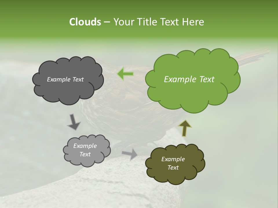 Song Sparrow Wild Western PowerPoint Template