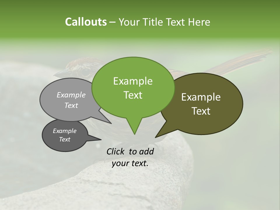 Song Sparrow Wild Western PowerPoint Template