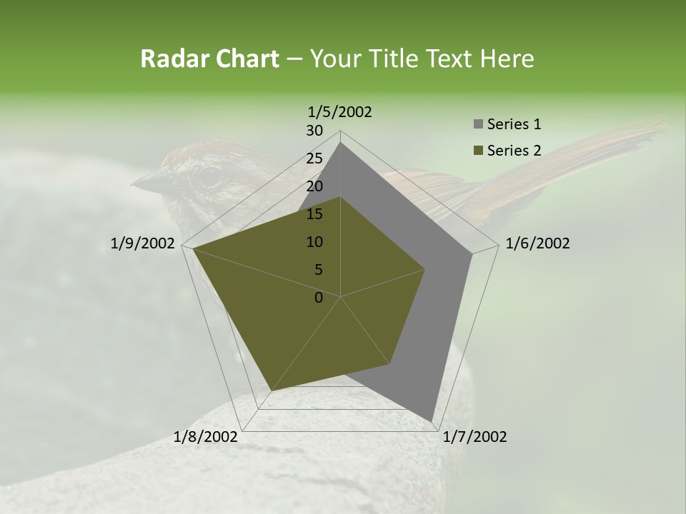 Song Sparrow Wild Western PowerPoint Template