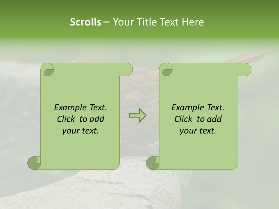 Song Sparrow Wild Western PowerPoint Template