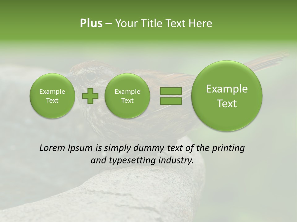 Song Sparrow Wild Western PowerPoint Template