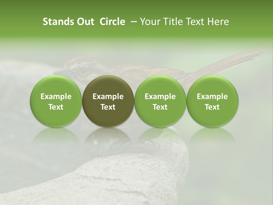 Song Sparrow Wild Western PowerPoint Template