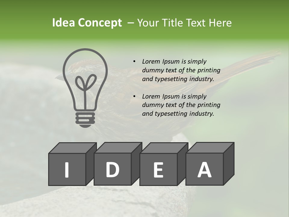 Song Sparrow Wild Western PowerPoint Template