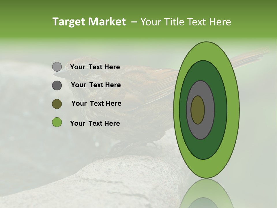 Song Sparrow Wild Western PowerPoint Template