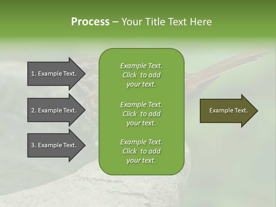 Song Sparrow Wild Western PowerPoint Template