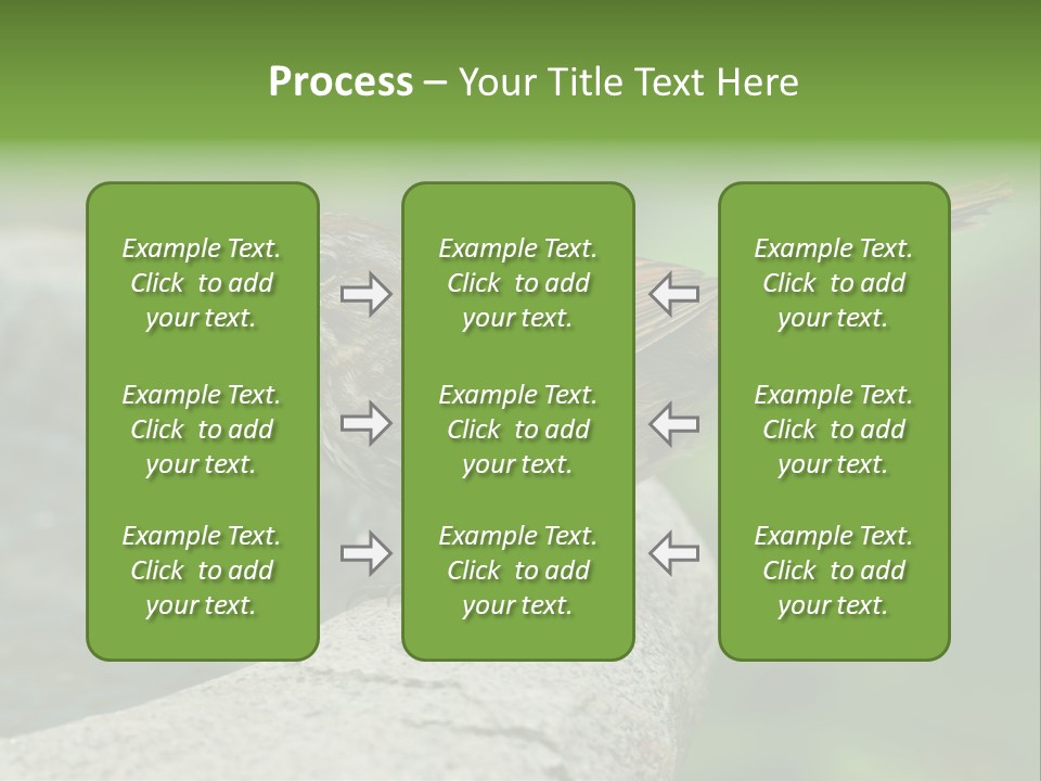 Song Sparrow Wild Western PowerPoint Template