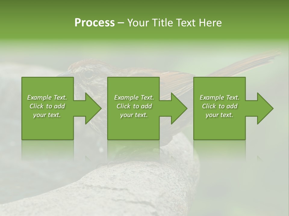 Song Sparrow Wild Western PowerPoint Template