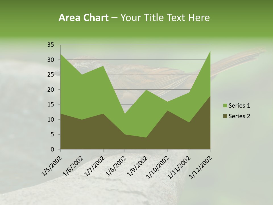 Song Sparrow Wild Western PowerPoint Template