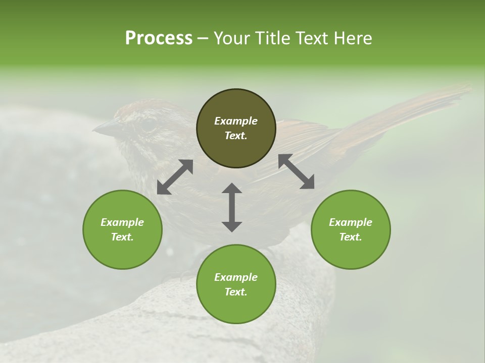 Song Sparrow Wild Western PowerPoint Template