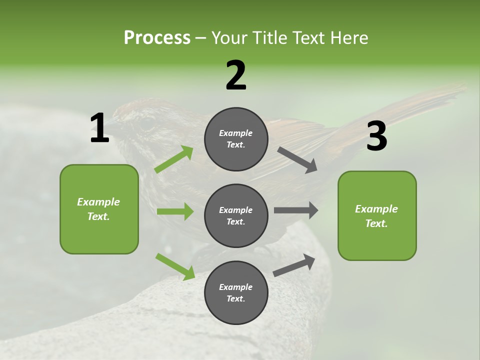 Song Sparrow Wild Western PowerPoint Template