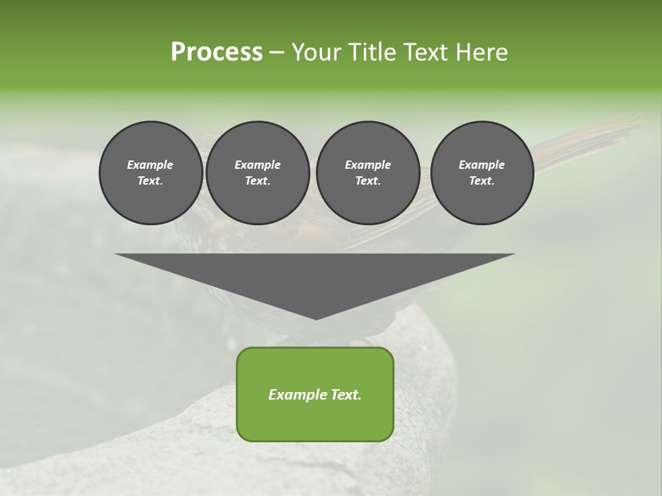 Song Sparrow Wild Western PowerPoint Template