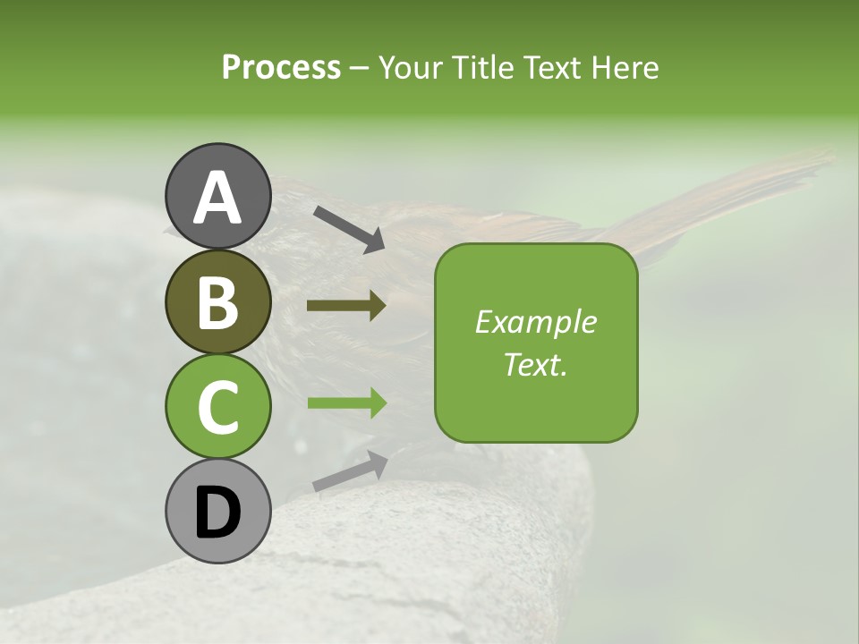 Song Sparrow Wild Western PowerPoint Template