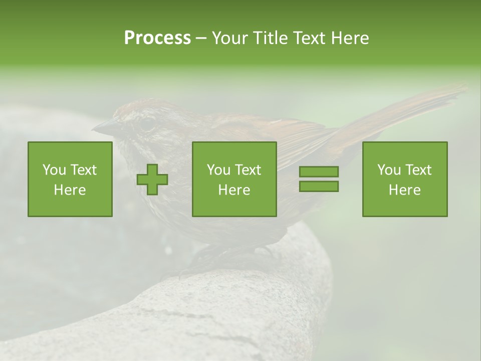 Song Sparrow Wild Western PowerPoint Template