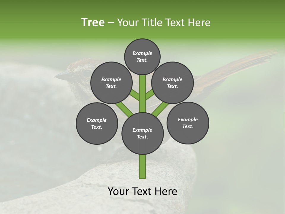 Song Sparrow Wild Western PowerPoint Template