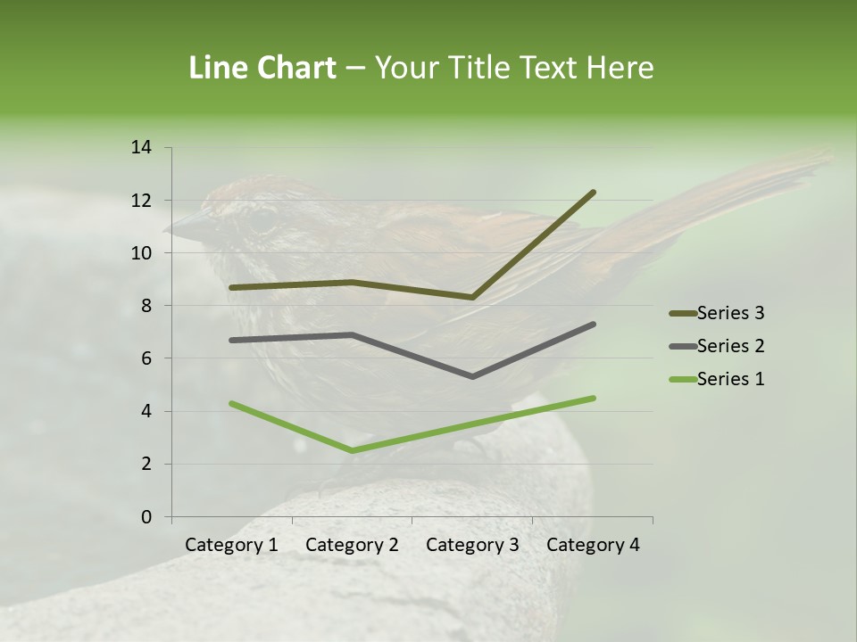 Song Sparrow Wild Western PowerPoint Template