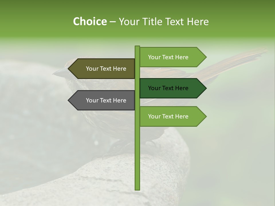 Song Sparrow Wild Western PowerPoint Template