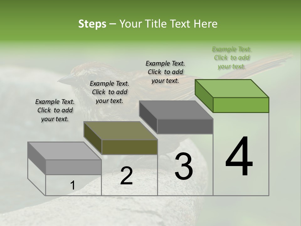 Song Sparrow Wild Western PowerPoint Template