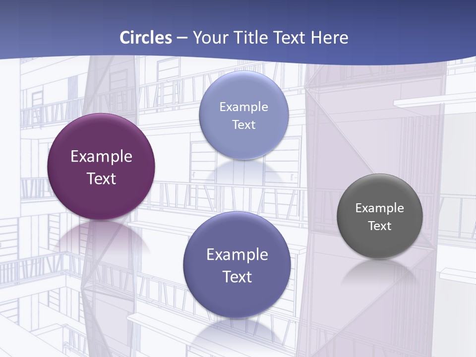 Wildlife Photography Mammal Wildlife PowerPoint Template