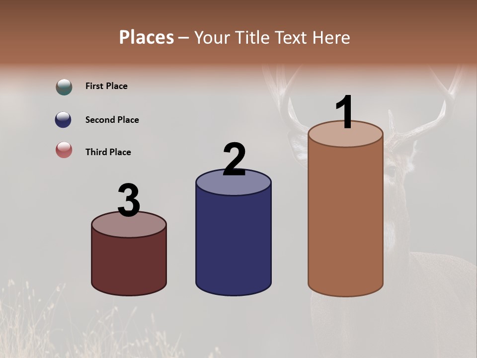 Wildlife Photography Mammal Wildlife PowerPoint Template