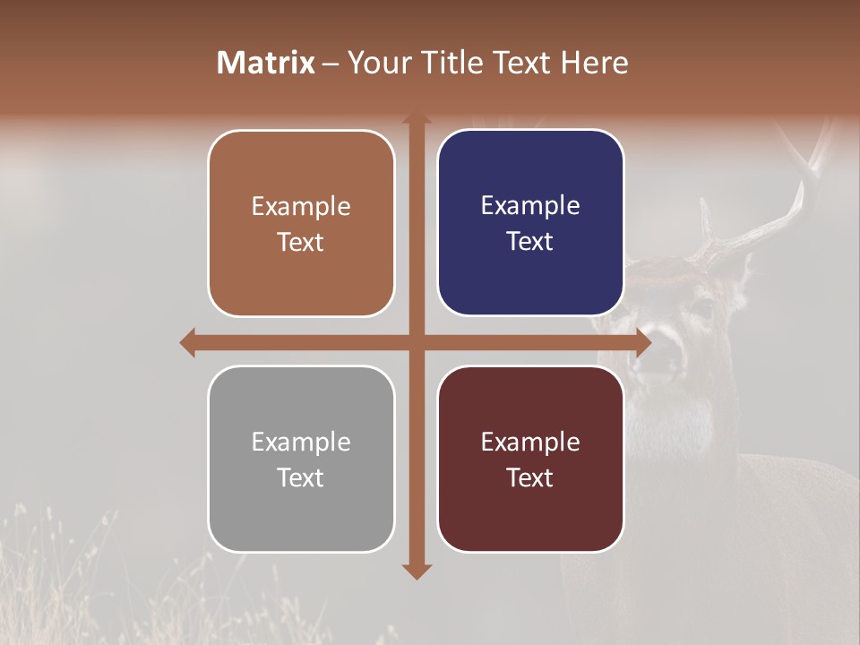 Wildlife Photography Mammal Wildlife PowerPoint Template