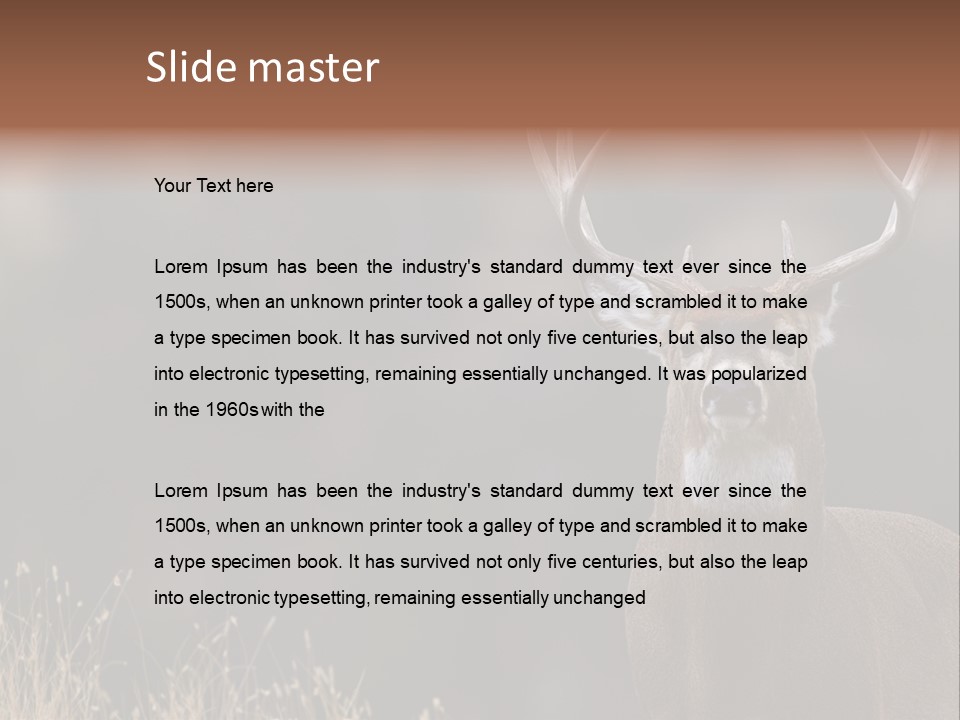 Wildlife Photography Mammal Wildlife PowerPoint Template