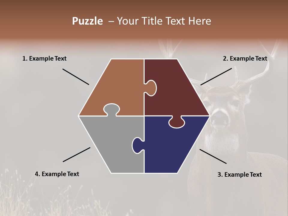 Wildlife Photography Mammal Wildlife PowerPoint Template