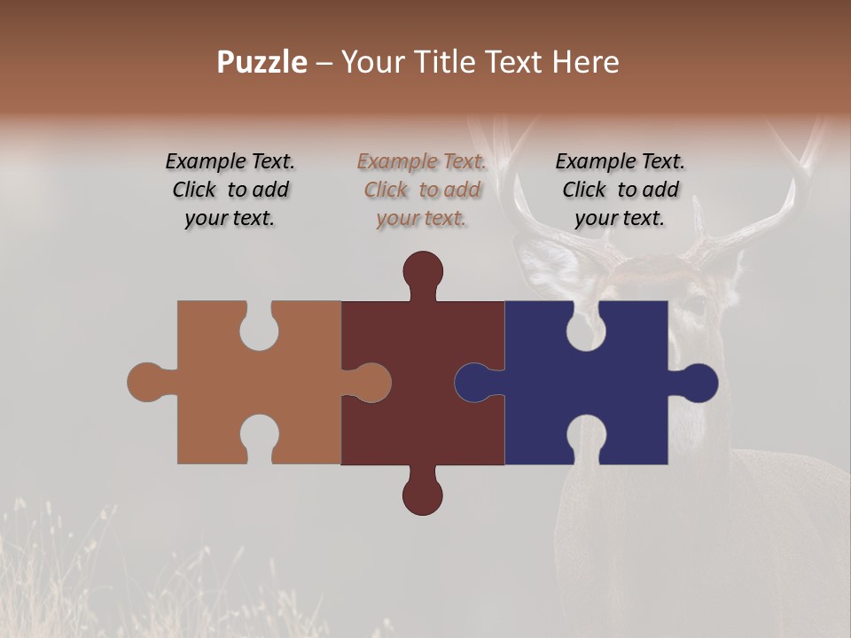 Wildlife Photography Mammal Wildlife PowerPoint Template