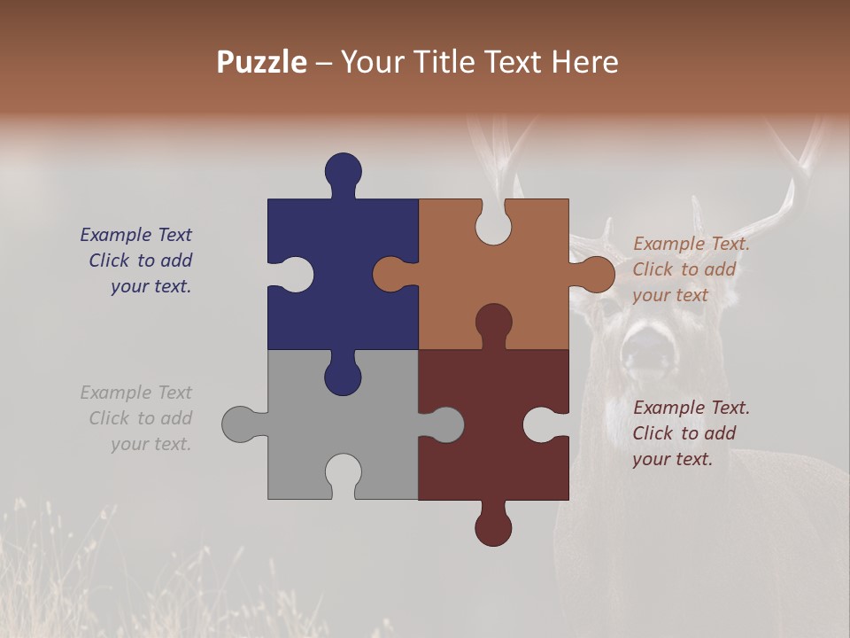 Wildlife Photography Mammal Wildlife PowerPoint Template