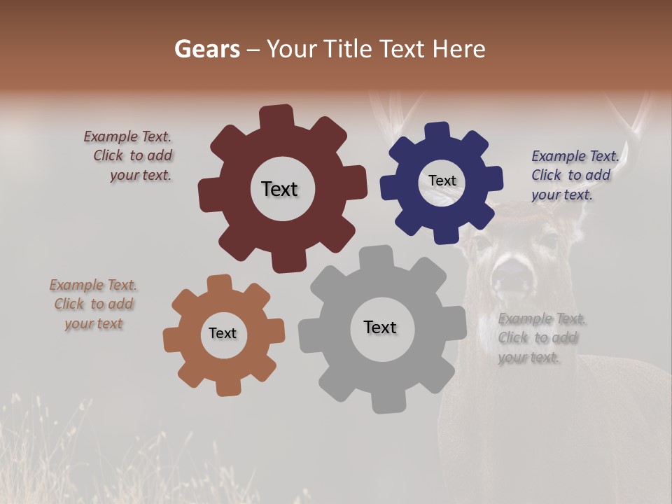 Wildlife Photography Mammal Wildlife PowerPoint Template