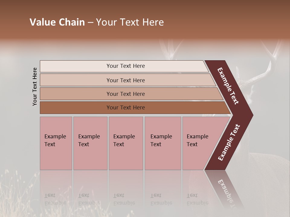 Wildlife Photography Mammal Wildlife PowerPoint Template