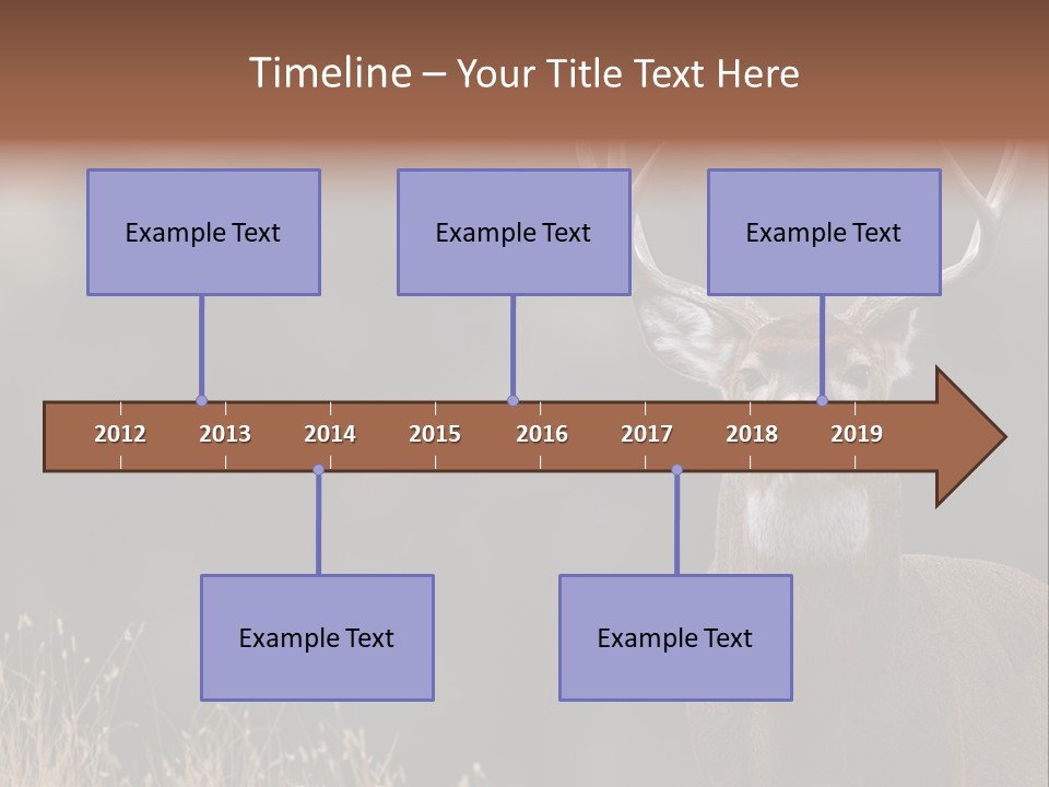 Wildlife Photography Mammal Wildlife PowerPoint Template