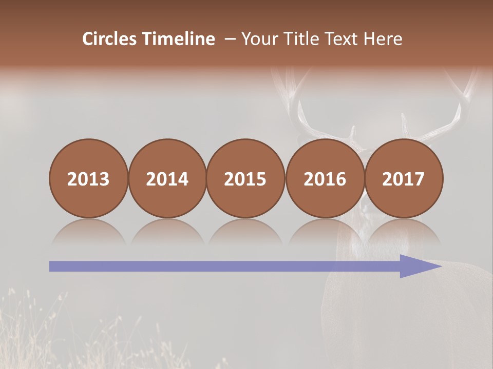 Wildlife Photography Mammal Wildlife PowerPoint Template