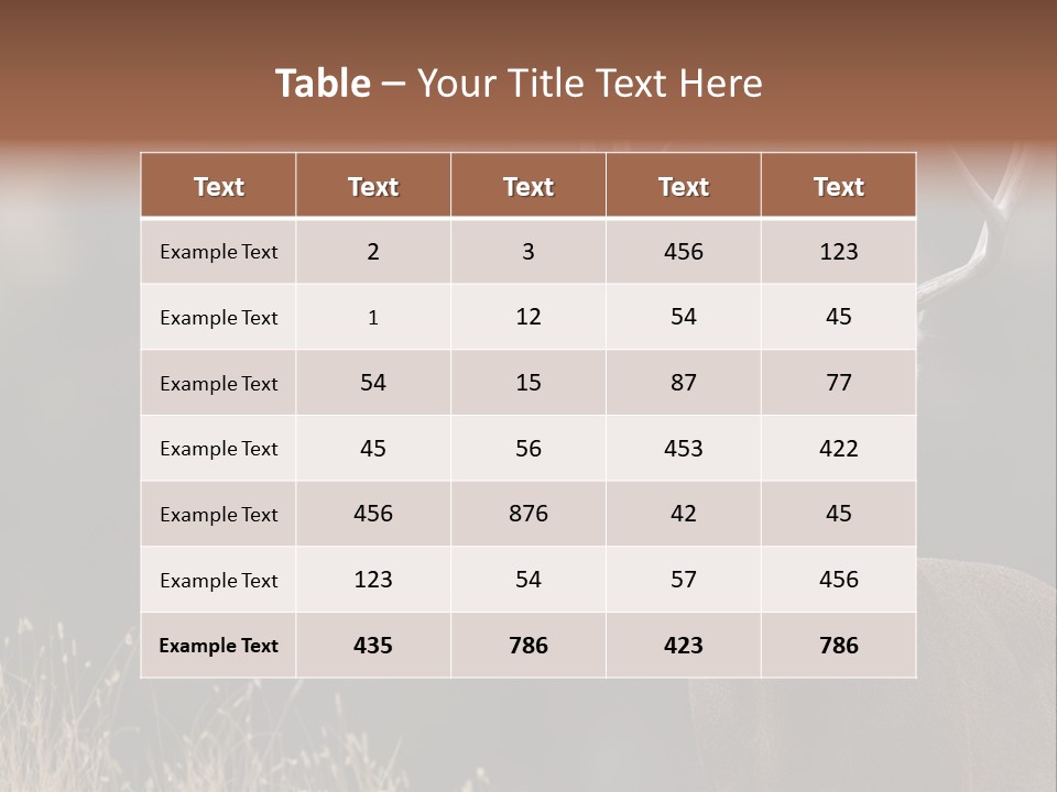 Wildlife Photography Mammal Wildlife PowerPoint Template