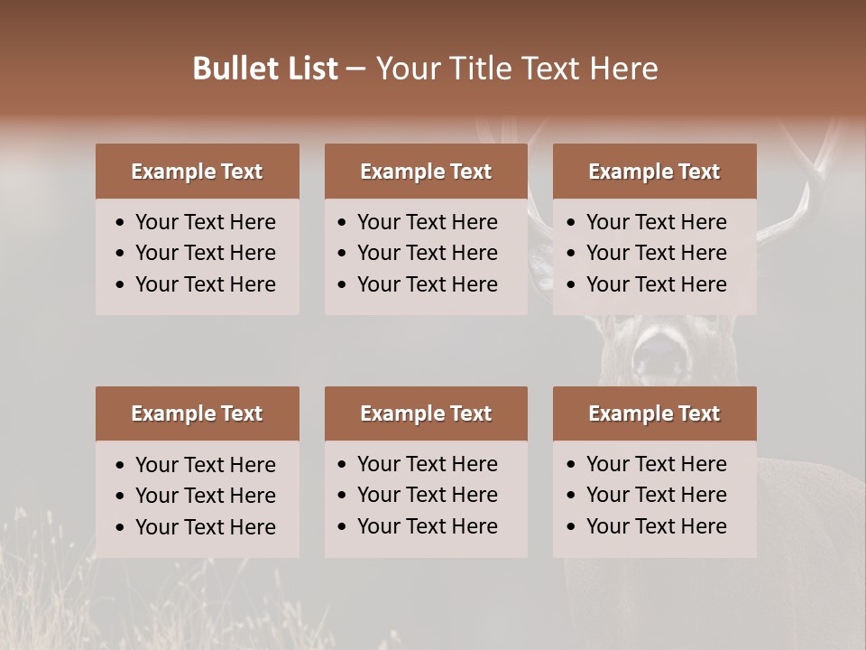 Wildlife Photography Mammal Wildlife PowerPoint Template
