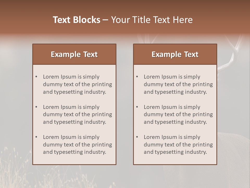 Wildlife Photography Mammal Wildlife PowerPoint Template