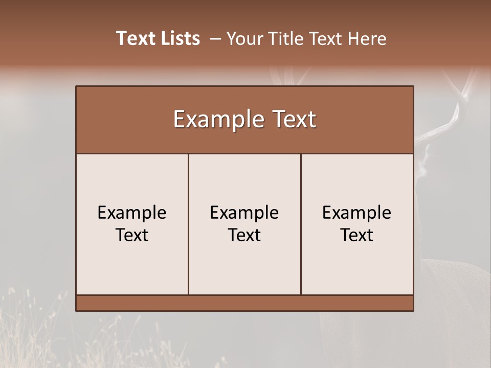 Wildlife Photography Mammal Wildlife PowerPoint Template