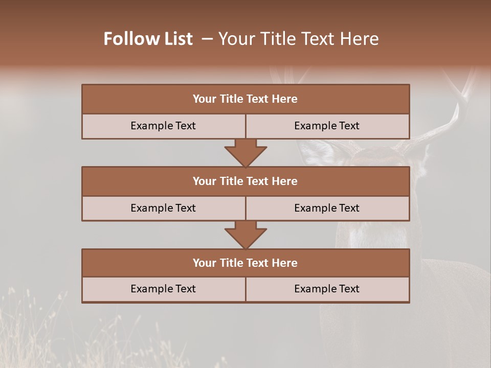 Wildlife Photography Mammal Wildlife PowerPoint Template