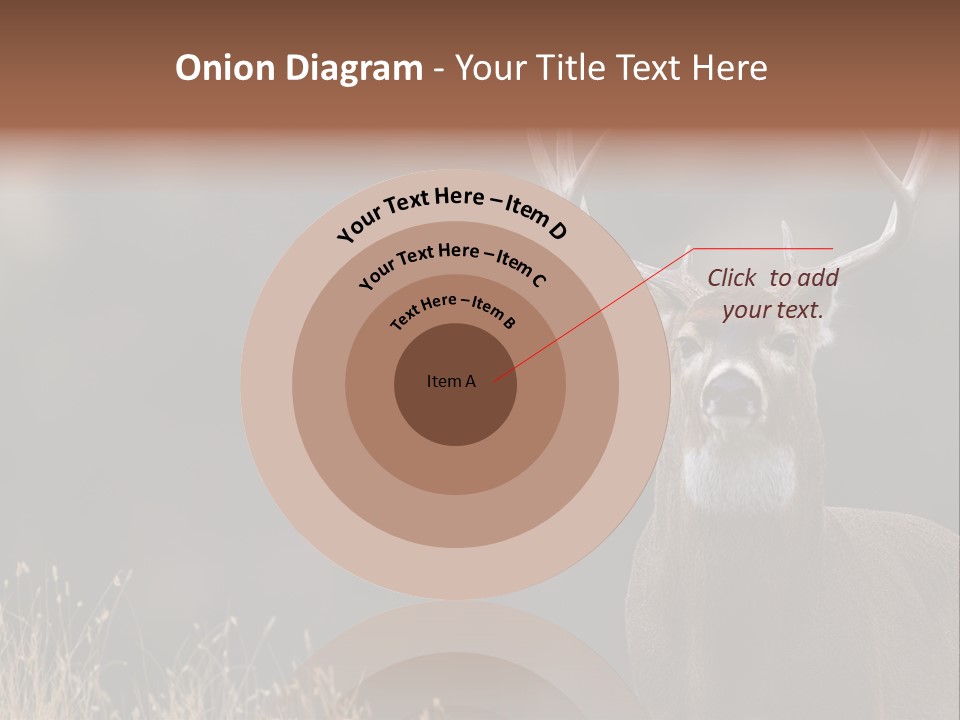 Wildlife Photography Mammal Wildlife PowerPoint Template