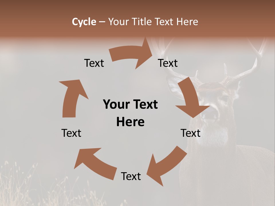 Wildlife Photography Mammal Wildlife PowerPoint Template