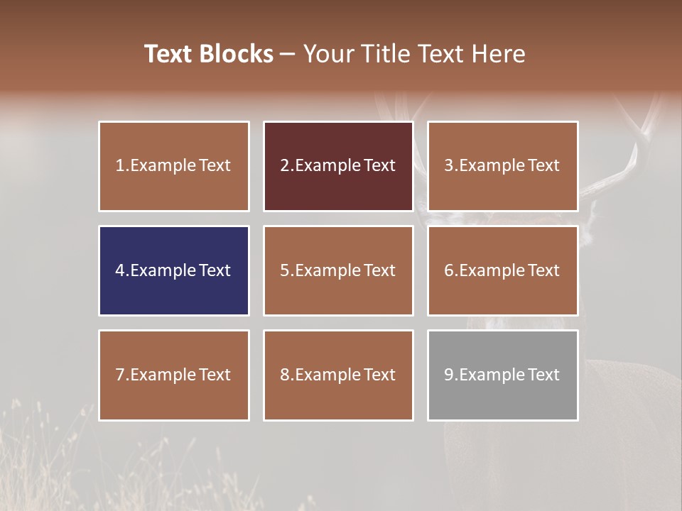 Wildlife Photography Mammal Wildlife PowerPoint Template