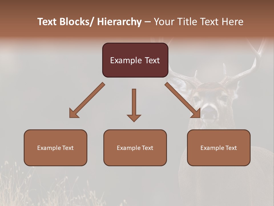 Wildlife Photography Mammal Wildlife PowerPoint Template